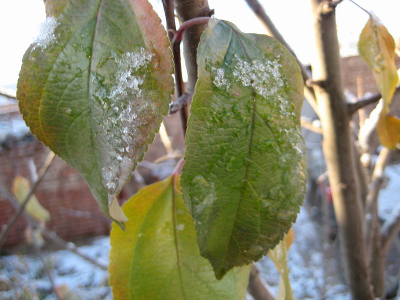 爱护自然,保护地球