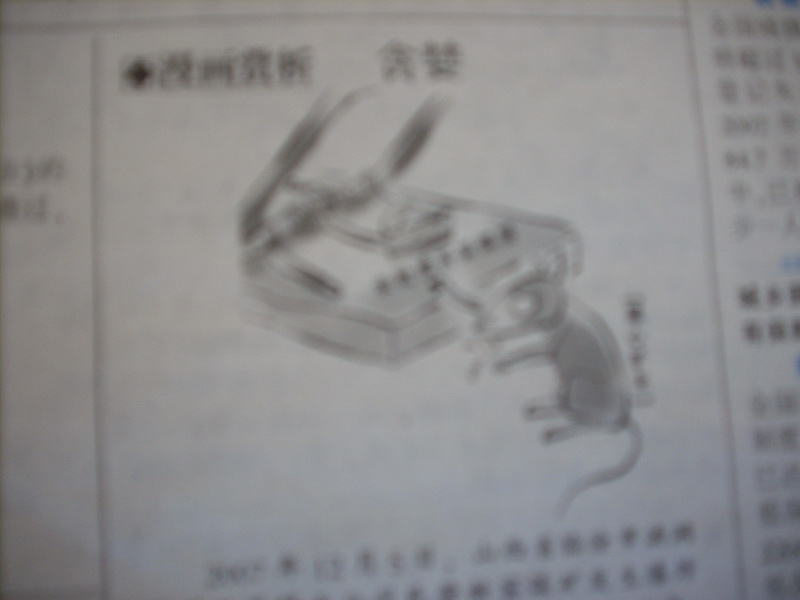 鼠年吉祥