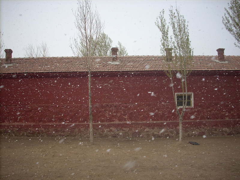 春雪