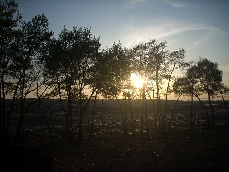 夕阳二