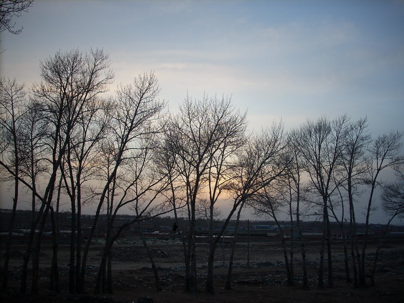 夕阳一