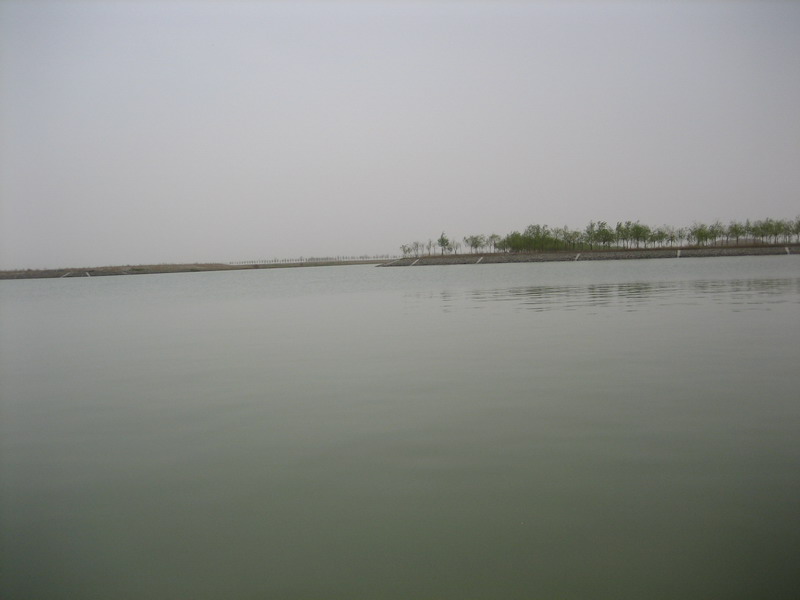 大海