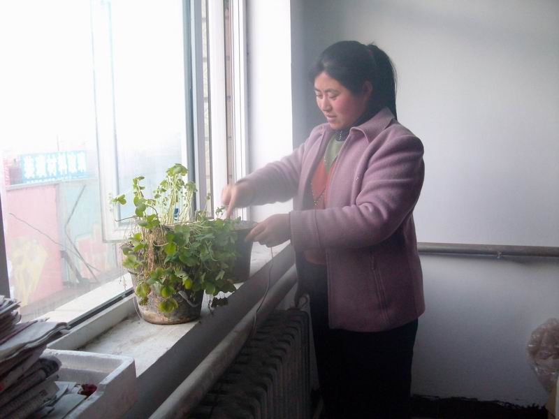 每天给花盆松土