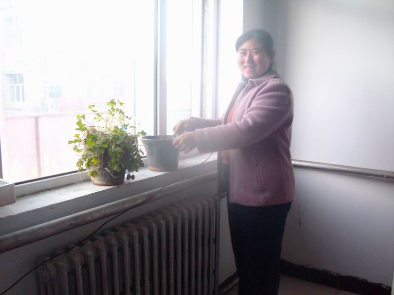 最后还是没有养活这盆花