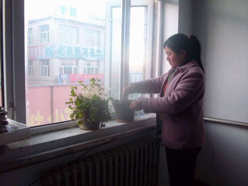 妈妈想再栽盆花