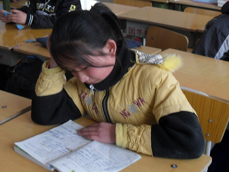 学到理论的我