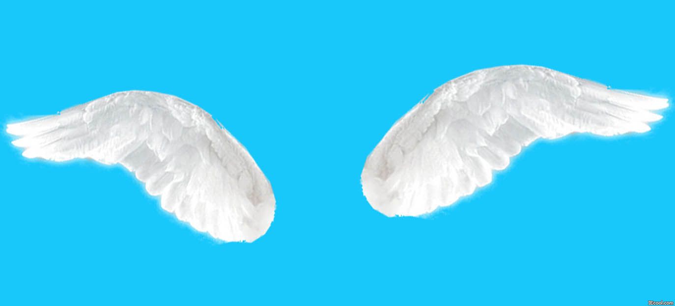 隐形的翅膀 隐形的翅膀